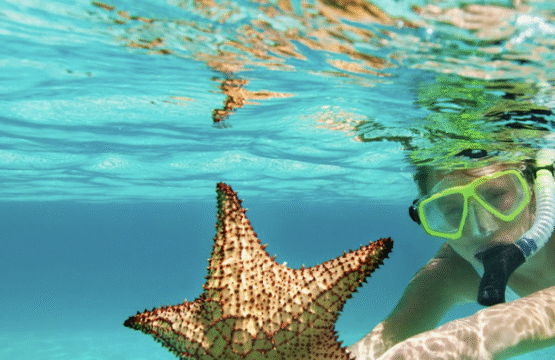 Taxi service in Providenciales