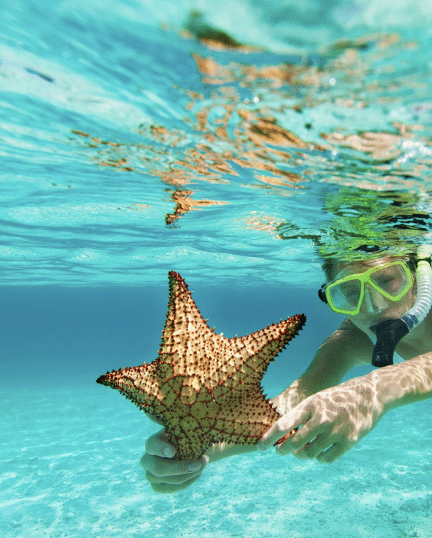 Taxi service in Providenciales