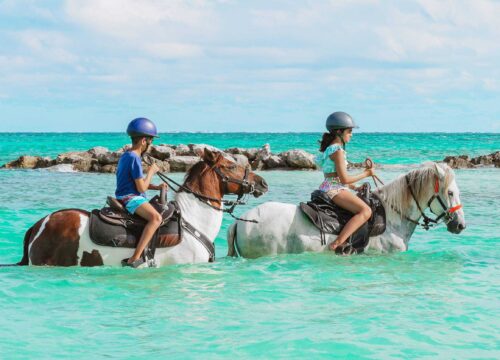 Private Car Service Turks and Caicos