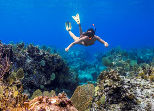 Turks and Caicos Travel Transportation