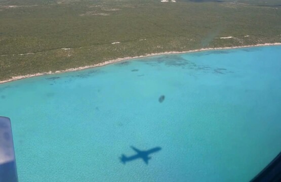 Best taxi service in Turks and Caicos